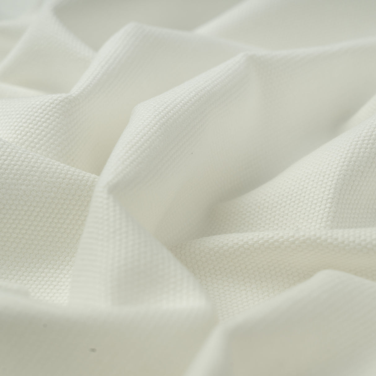 Cotton Canvas