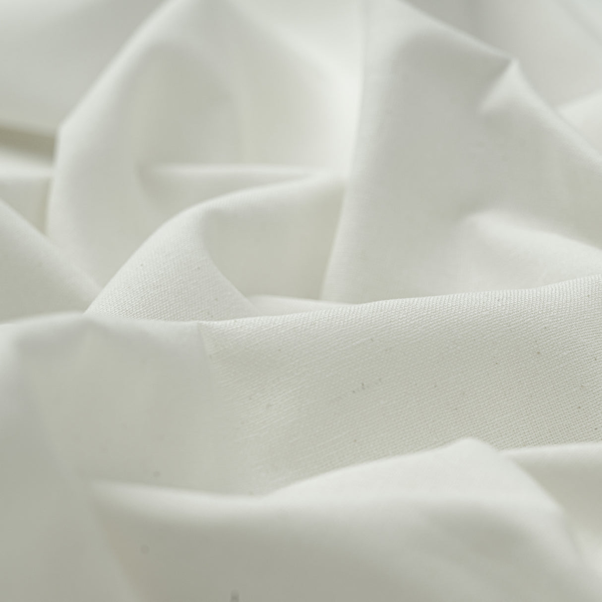 Signature Cotton